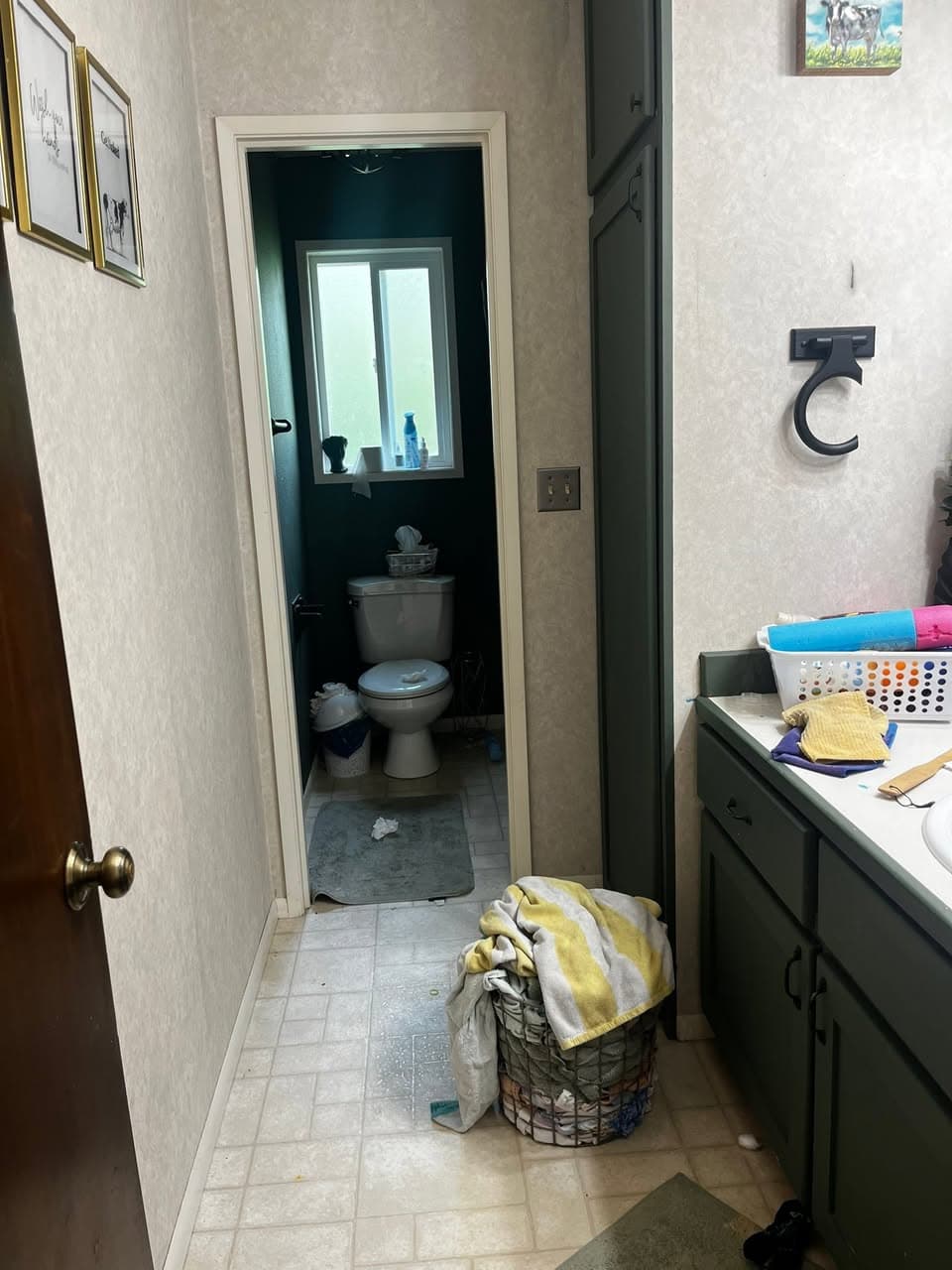 Bathroom Before cleaning